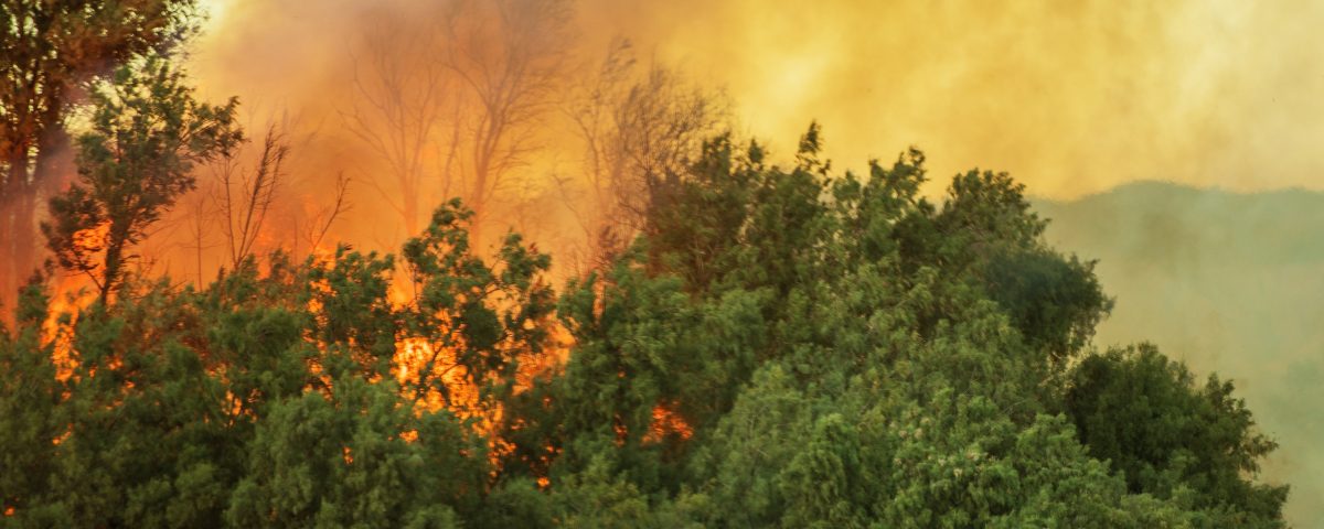 california wildfire claims
