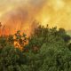 california wildfire claims