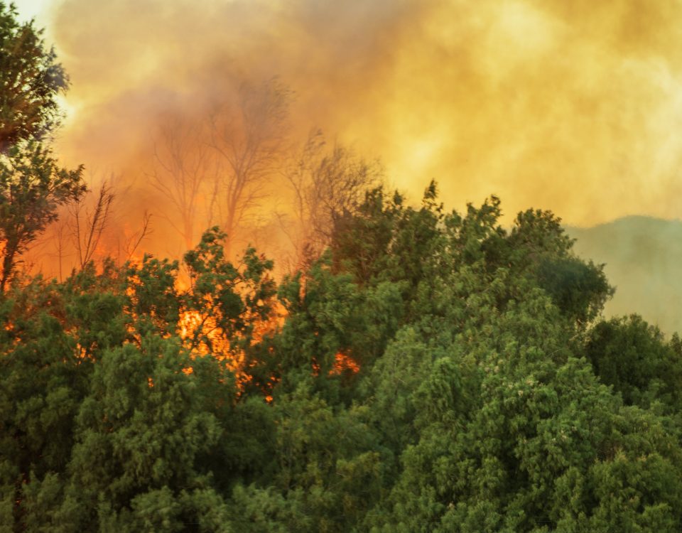 california wildfire claims