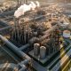 Ethylene Oxide Lawsuits